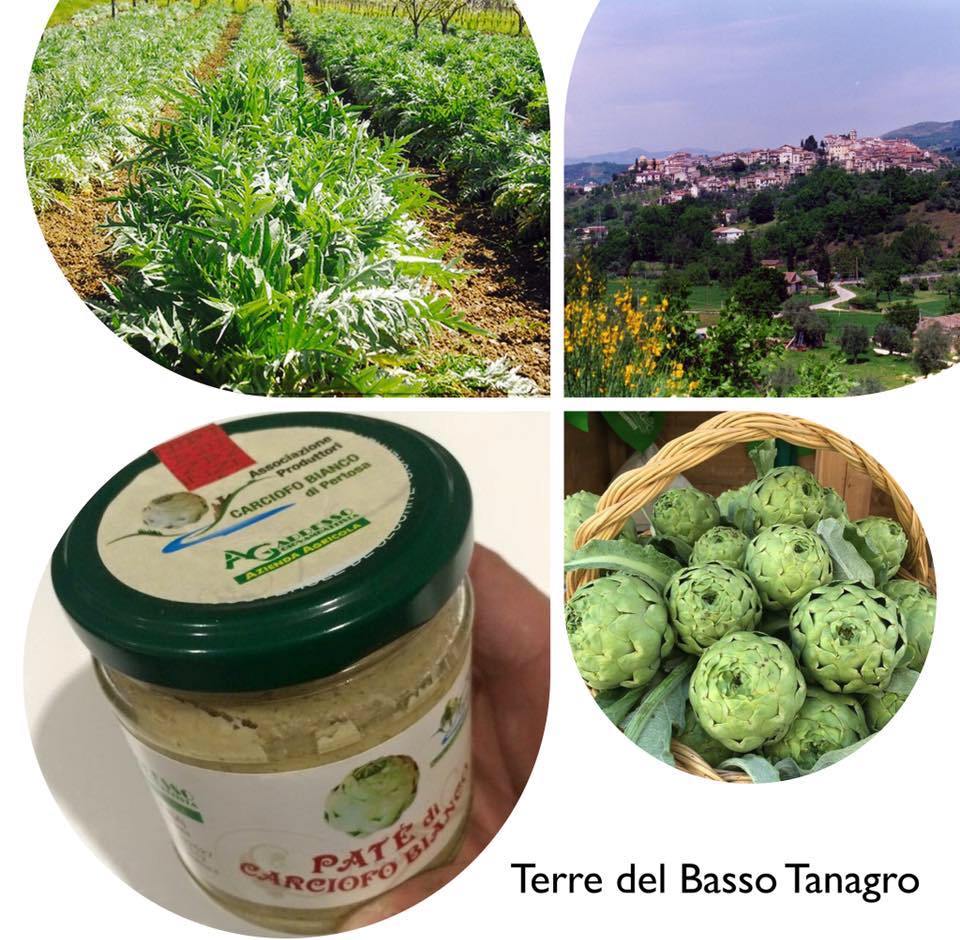 Terre del Basso Tanagro