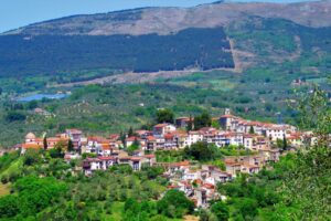 Auletta