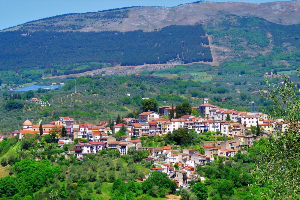 Auletta